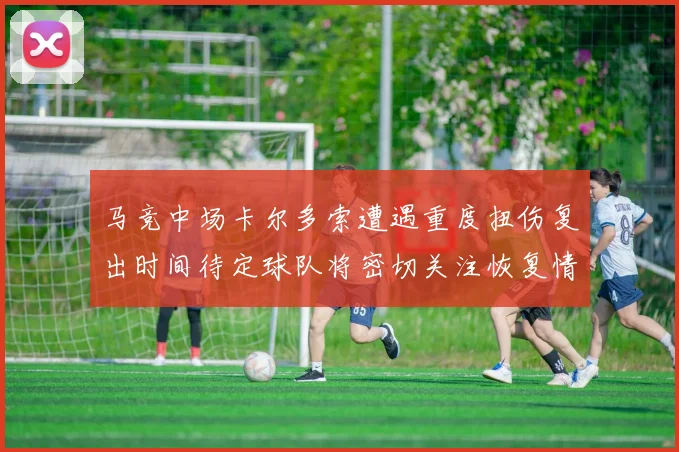 马竞中场卡尔多索遭遇重度扭伤复出时间待定球队将密切关注恢复情况